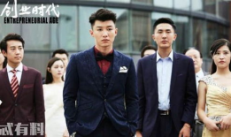 创业电视剧,创业剧中的激情与挑战